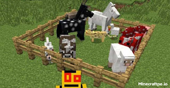 Tải Minecraft 1.21.80 APK Tiếng Việt Miễn Phí