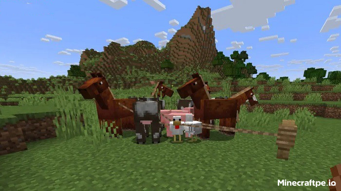 Tải Minecraft BETA 1.21.90.20 APK Tiếng Việt Miễn Phí
