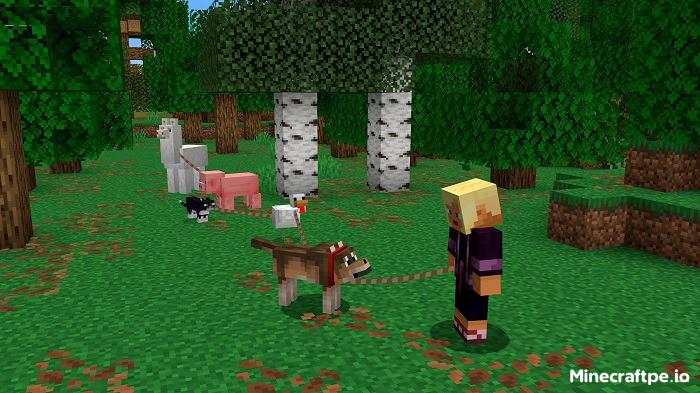 Tải Minecraft BETA 1.21.90.21 APK Tiếng Việt Miễn Phí