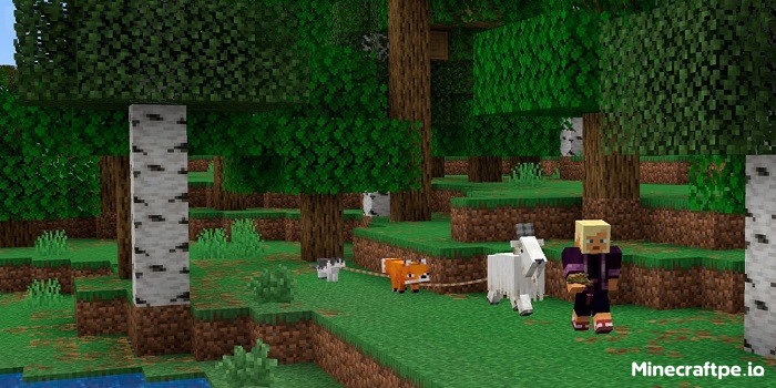Tải Minecraft BETA 1.21.90.21 APK Tiếng Việt Miễn Phí