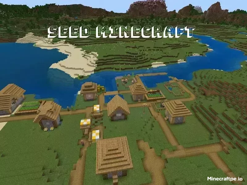 Thông tin Về Seed Minecraft